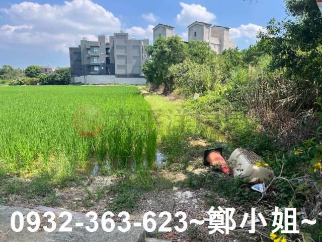 楊梅農地-8