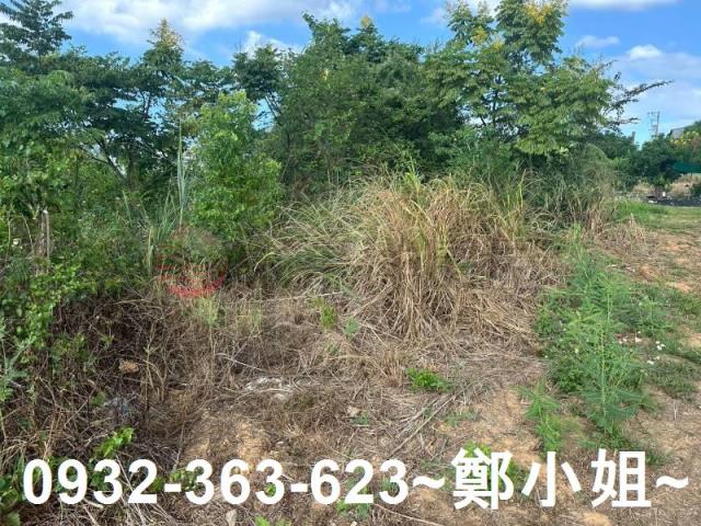蘆竹農地-9