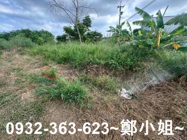 蘆竹農地-10
