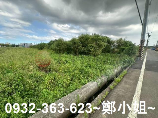 蘆竹農地-2