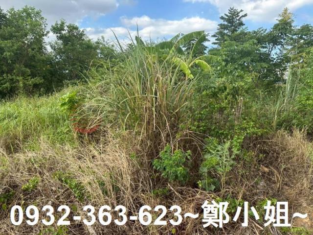 蘆竹農地-6