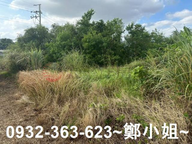 蘆竹農地-7