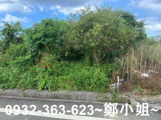 蘆竹農地-8