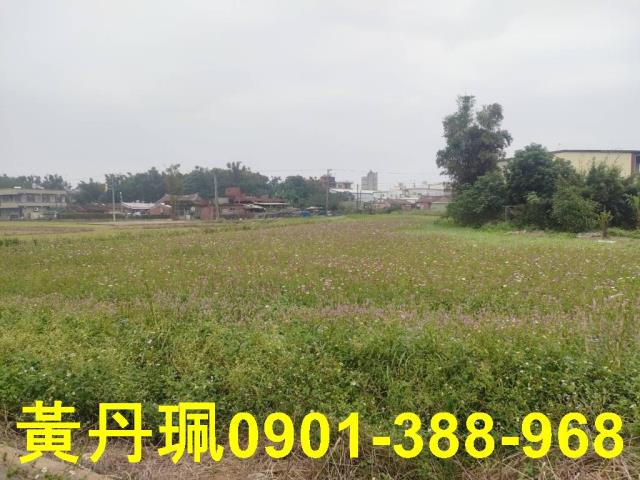 平鎮農地-2