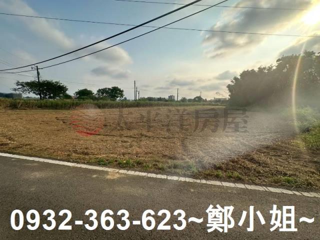 桃園大園農地-10