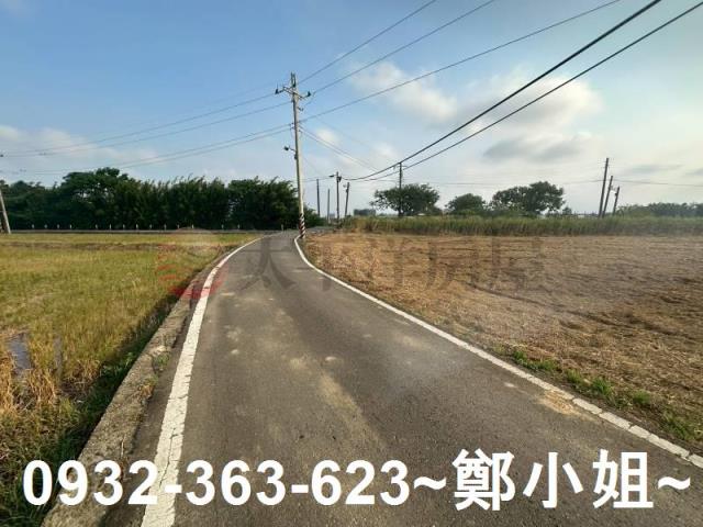 桃園大園農地-11