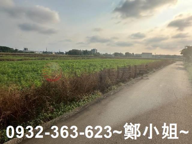 桃園大園農地-2