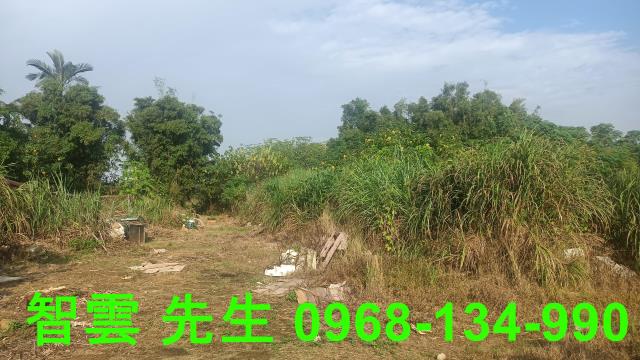 桃園觀音建地-0