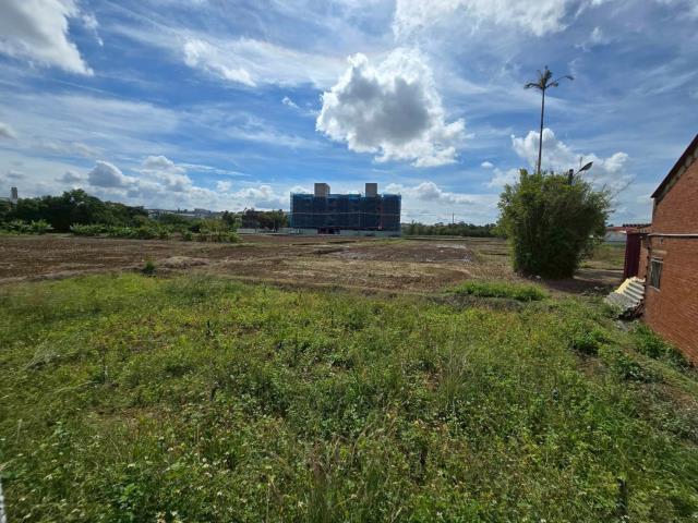 桃園新屋農地-5