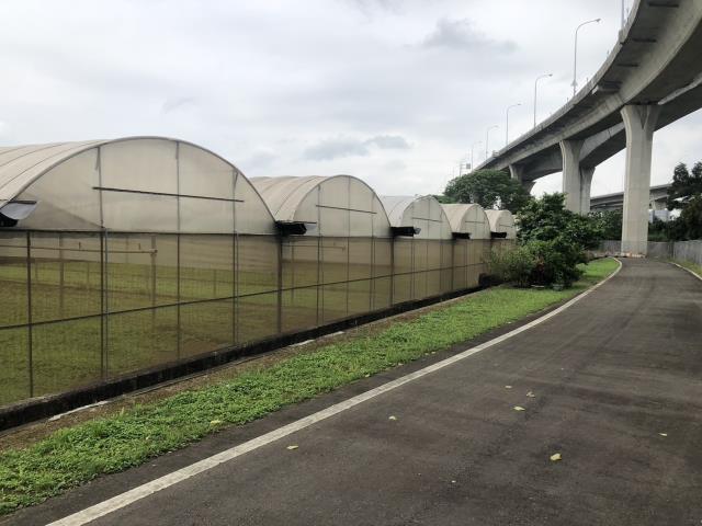 桃園桃園區農地-0