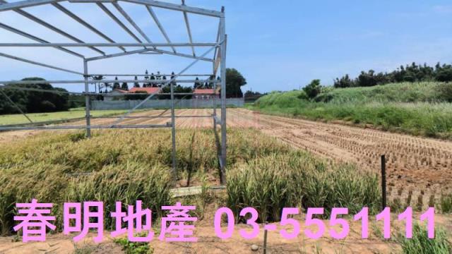 桃園新屋農地-0