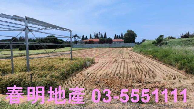 桃園新屋農地-4