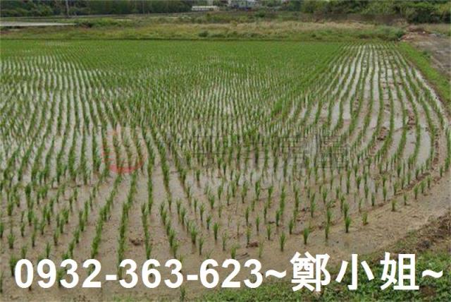 桃園楊梅農地-0