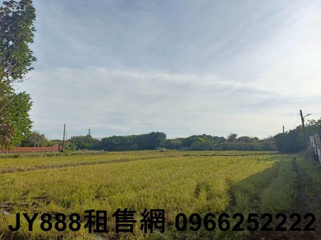 新屋農地-3