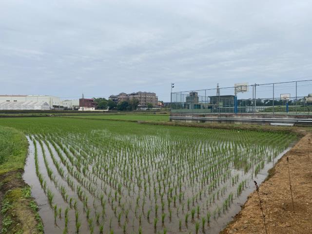 桃園農地-0
