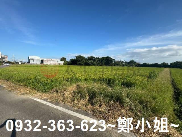 桃園新屋農地-9