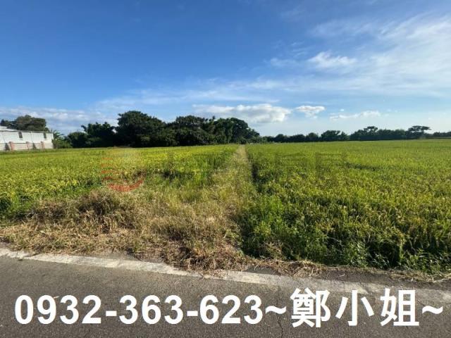 桃園新屋農地-6