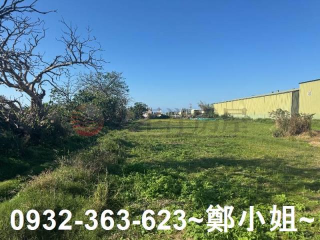 桃園蘆竹農地-1