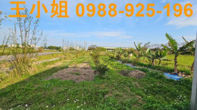 桃園中壢農地-2