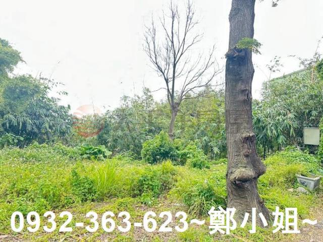 桃園八德農地-10