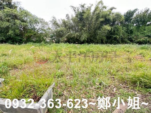 桃園八德農地-7