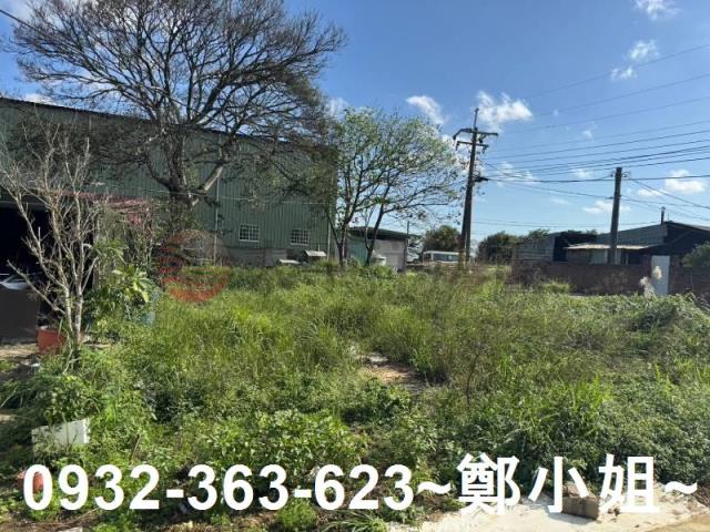 桃園大園農地-12