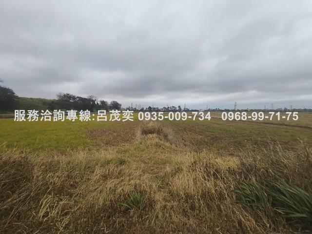 觀音農地-4
