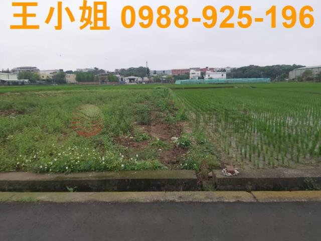 桃園楊梅農地-5