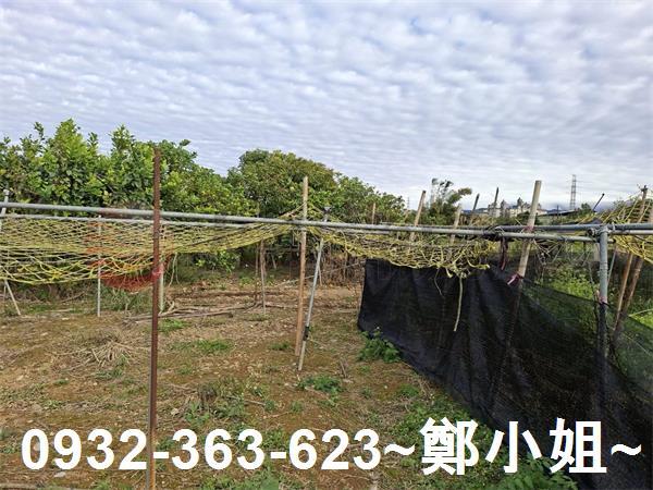 桃園大溪農地-11