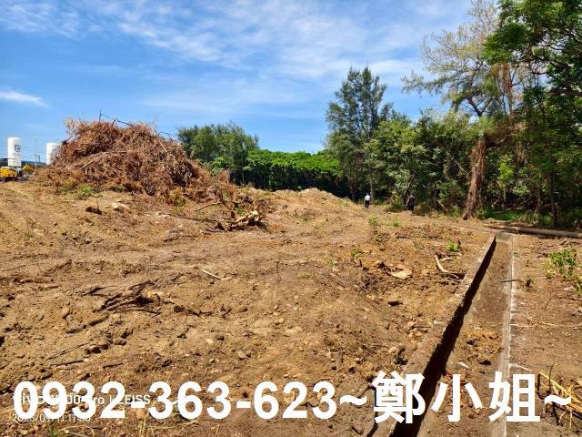 桃園觀音工業地-3