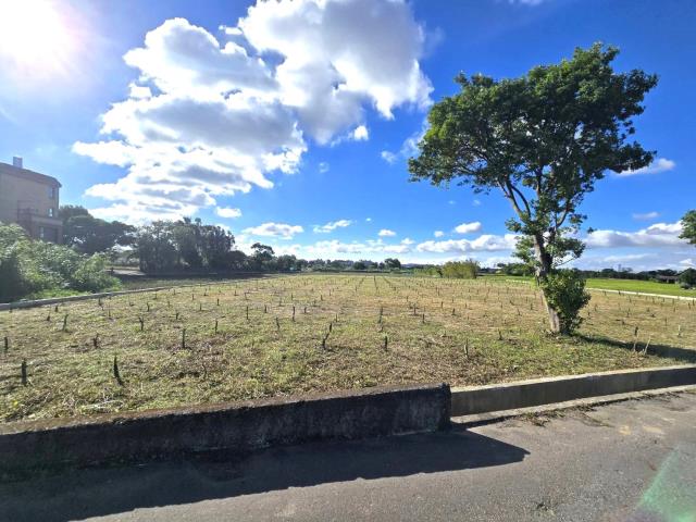 桃園平鎮農地-11