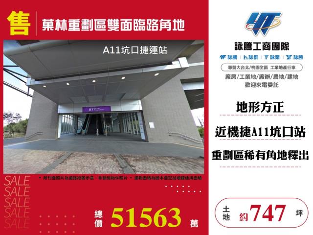 桃園大園建地-0