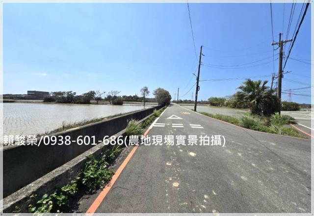 桃園觀音保興路農保田