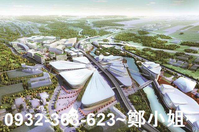 桃園大園建地-3