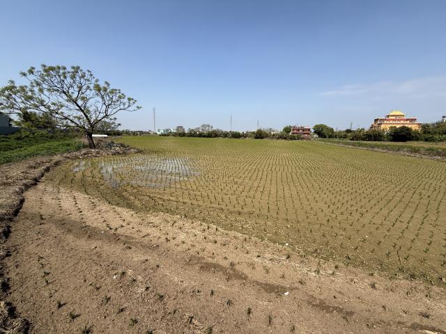 桃園新屋農地-2