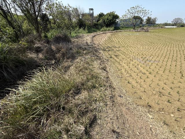 桃園新屋農地-5