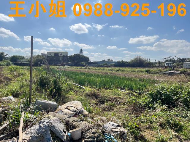 桃園新屋農地-5