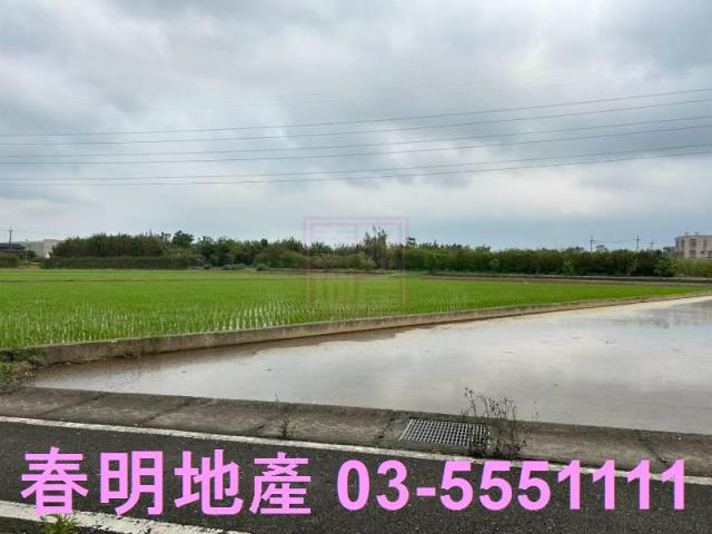 楊梅農地-2