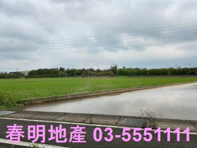 楊梅農地-8