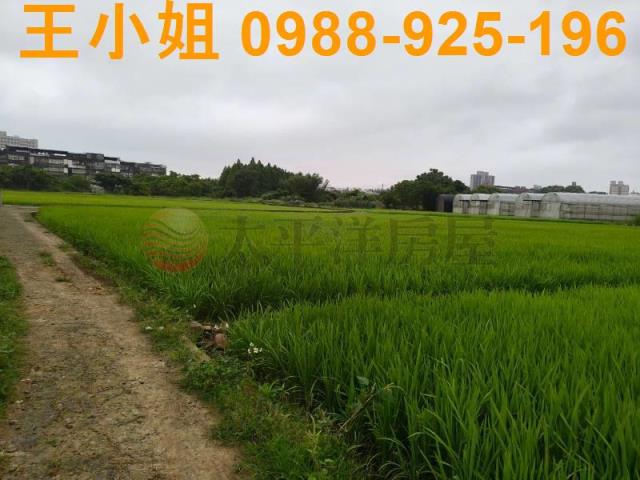 桃園桃園區農地-10