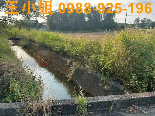 大園農地-10