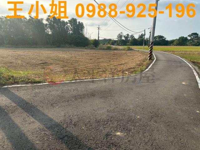 大園農地-4