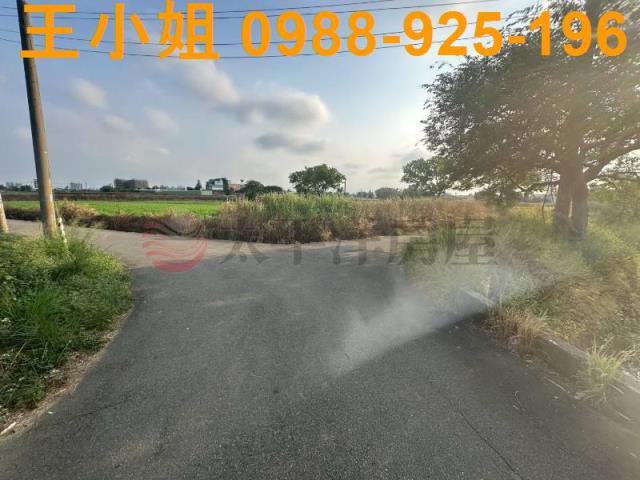 大園農地-8